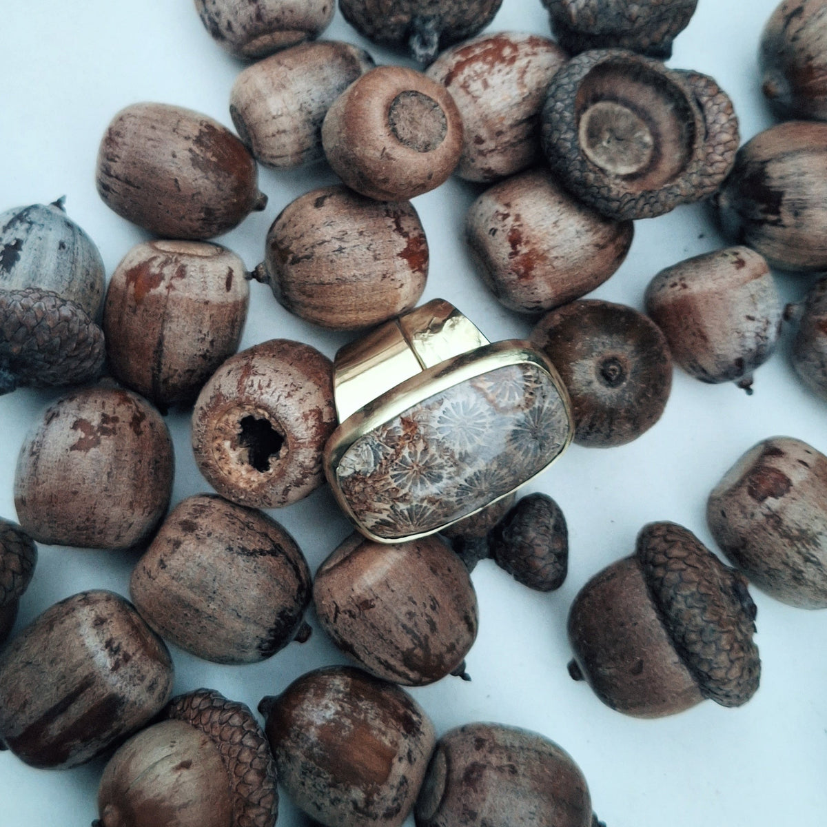 Prsten REBORN ACORN UNIKAT